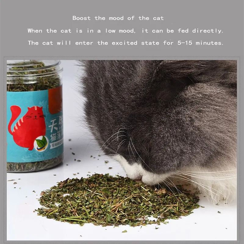 Натуральный органический Премиум Catnip игрушка для кошки кондиционер желудок 20 г ментоловый аромат игрушки для кошек