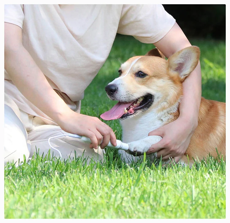 Skup Xiaomi Mijia pawbby akumulator paznokcie zwierząt domowych Cilppers elektryczny pies lakier do paznokci USB elektryczne Pet nożyczki do paznokci trymer do pielęgnacji