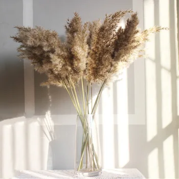 

20Pcs Christmas Wedding Decoration Pampas Flower Bunch Reed Grass Bunch Natural Dried Reed Plants