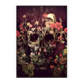 

Oil Painting Abstract skeleton Flower Painting By Numbers Paint Flower DIY Canvas Picture Hand Painted Home Decoration Diy Gift