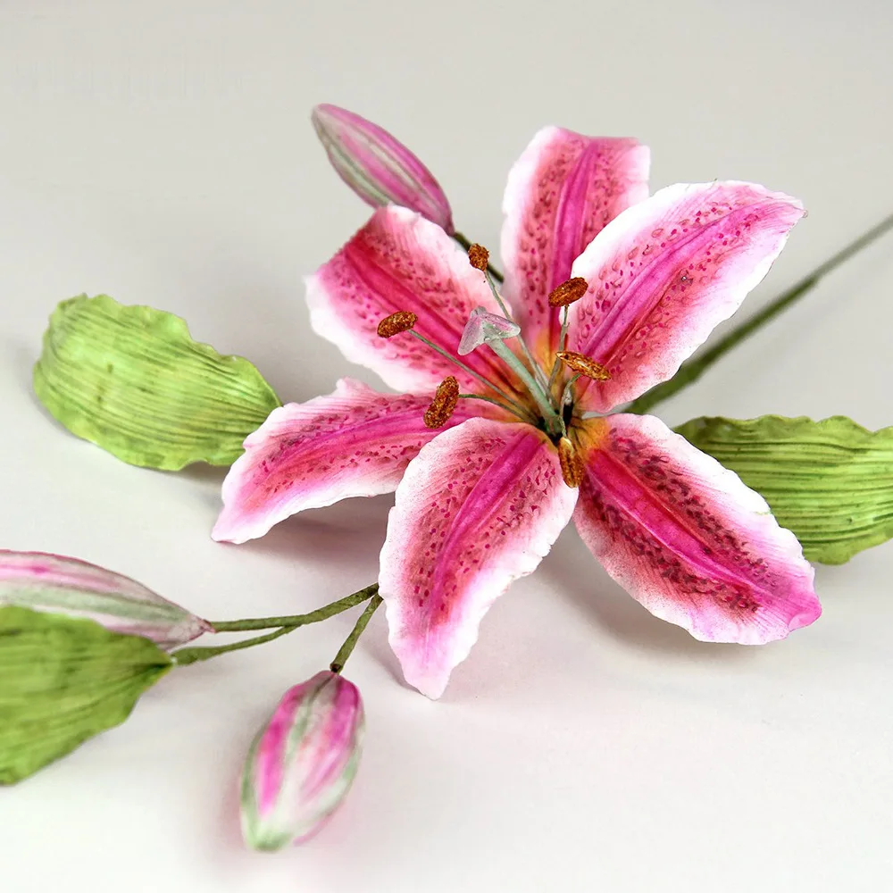 

Lily Flower Leaves Lace Cake Mold Silicone Mold Fondant Mold Birthday Cake Decorating Tools Chocolate Sugarcraft Mold Candy Mold