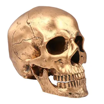 

Halloween Skull Realistic Looking Skull Human Skeleton Skull Resin Model Resin Skull Human Skull Model Halloween Party Supplies