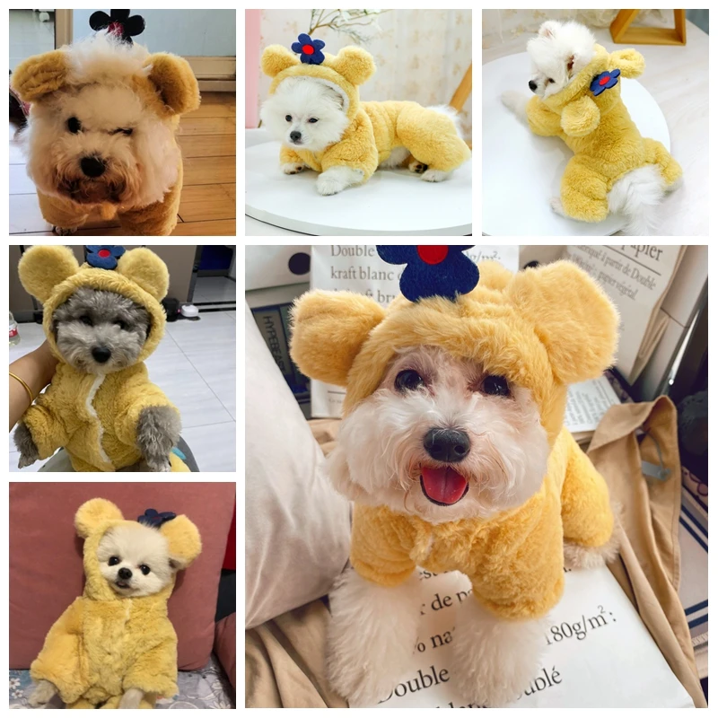 fat teddy bear dog