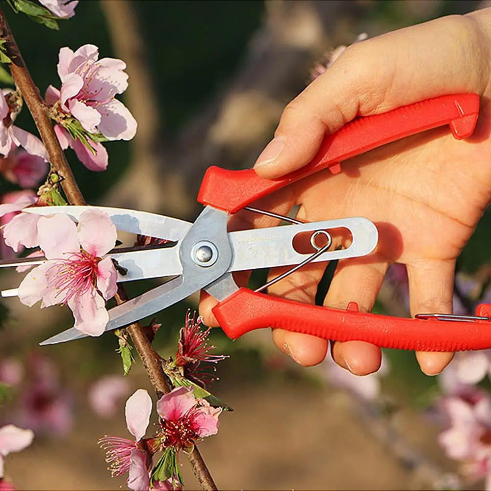 Multifunctional Garden Pruning Shears Fruit Picking Scissors Pruning  Household Potted Hand Small Scissors Gardening Tool M4YD - AliExpress