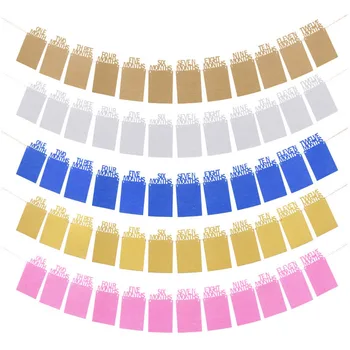 

NEW-Baby First Birthday Garland, Monthly Garland Photo Banner for First Holy Communion, Hanging Photo Wall Decoration