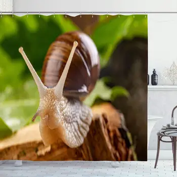 

Shower Curtain Set with Hooks 72x72 Helix Pomatia On Gastropod Wet Maple Escargot Leaves Nature European Animals Wildlife Slimy