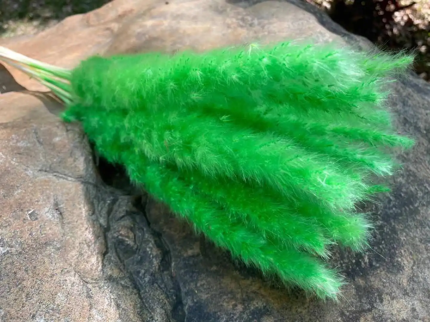 15Pcs Dried Reed Flower Arrangement Natural Pampas Grass For  Modern Home Decoration Party Backdrops Wedding Supplies