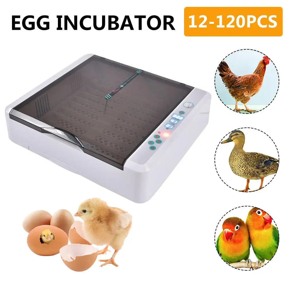 Лучший сельскохозяйственный инкубатор для яиц автоматический 120 яиц инкубаторная машина новейший контроль температуры и влажности курица утка перепелиная птица Брудер