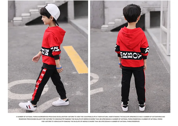 Boys Hoody Sports Clothing Set New Spring and Autumn Children 's 2 Patchwork Colors Sets Kids Clothes Suits Size4-14 ly329