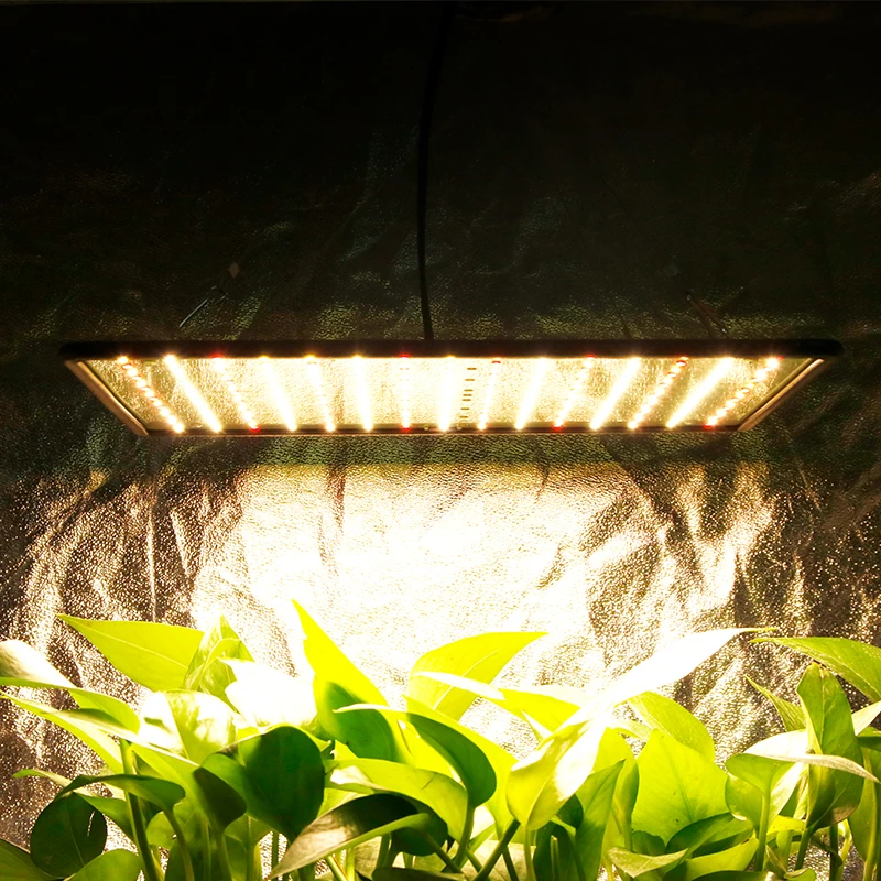  3500K Grow Tent Lamp 1000W LED Grow Light Panel Phyto Lamp For Plant Full Spectrum Led Lights For I - 4000233251811