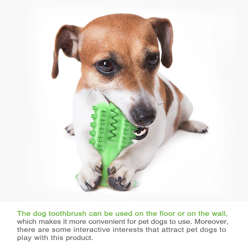 Dog Toothbrush Toy - Avanti-eStore