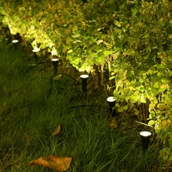 Lampe solaire pour pelouse avec 10 lampes 