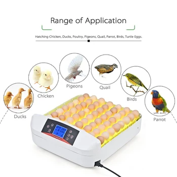 

2019 HHD CE approved LED light tester incubator for chicken egg hatchery machine for sale in YZ-56S