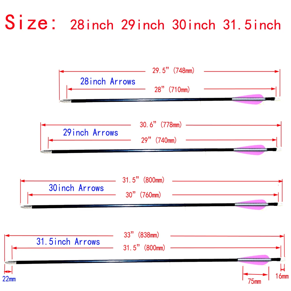 28-31.5" Fibreglass Arrows Practice Shooting Point Tips Archery Bow Targeting 