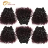 6Pcs/Lot Peruvian Curly Bundles Jerry Curl Double Drawn Human Hair Remy Funmi Hair T1B 30 99J Colored Hair Extension Htonicca 1
