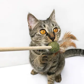 

Interactive Cat Toy With Wood Rod, Catnip Ball, Funny Feather, Pet Training Tool For Pet Cat Toys