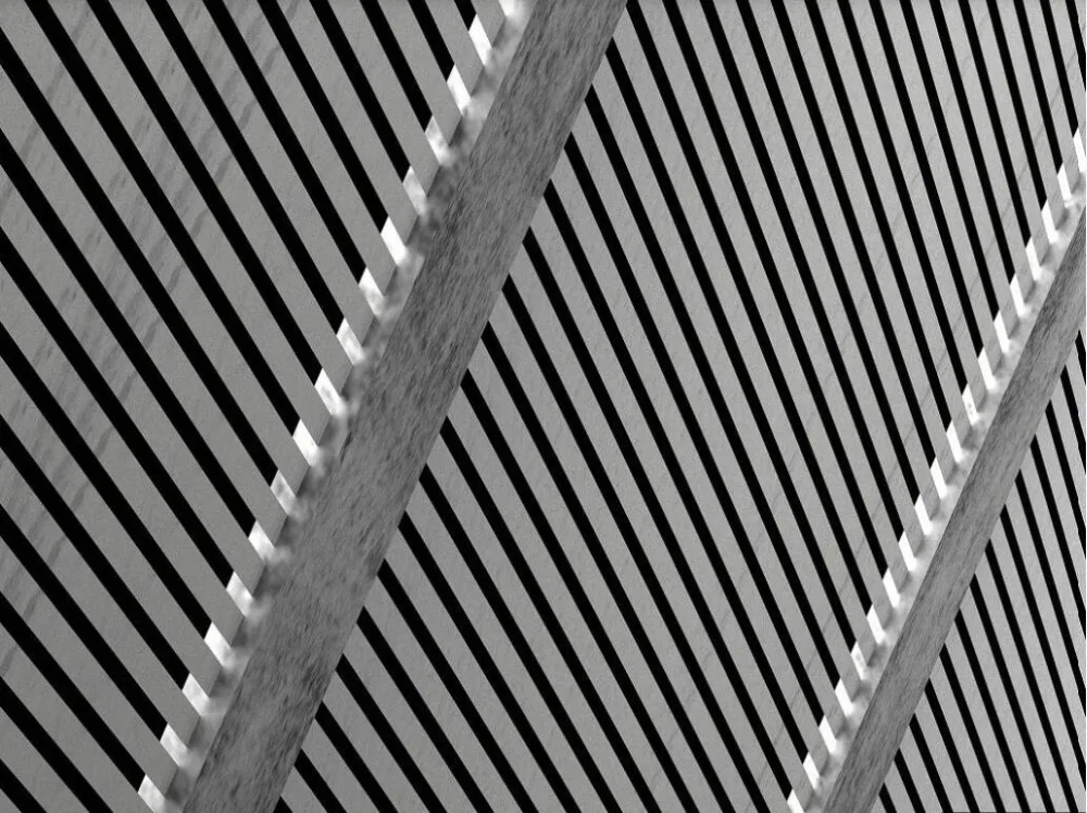 QQ截图20191222224626