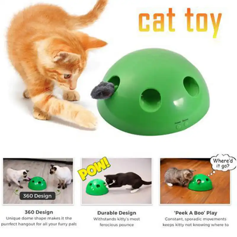 motion cat toy