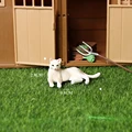 Lying black cat