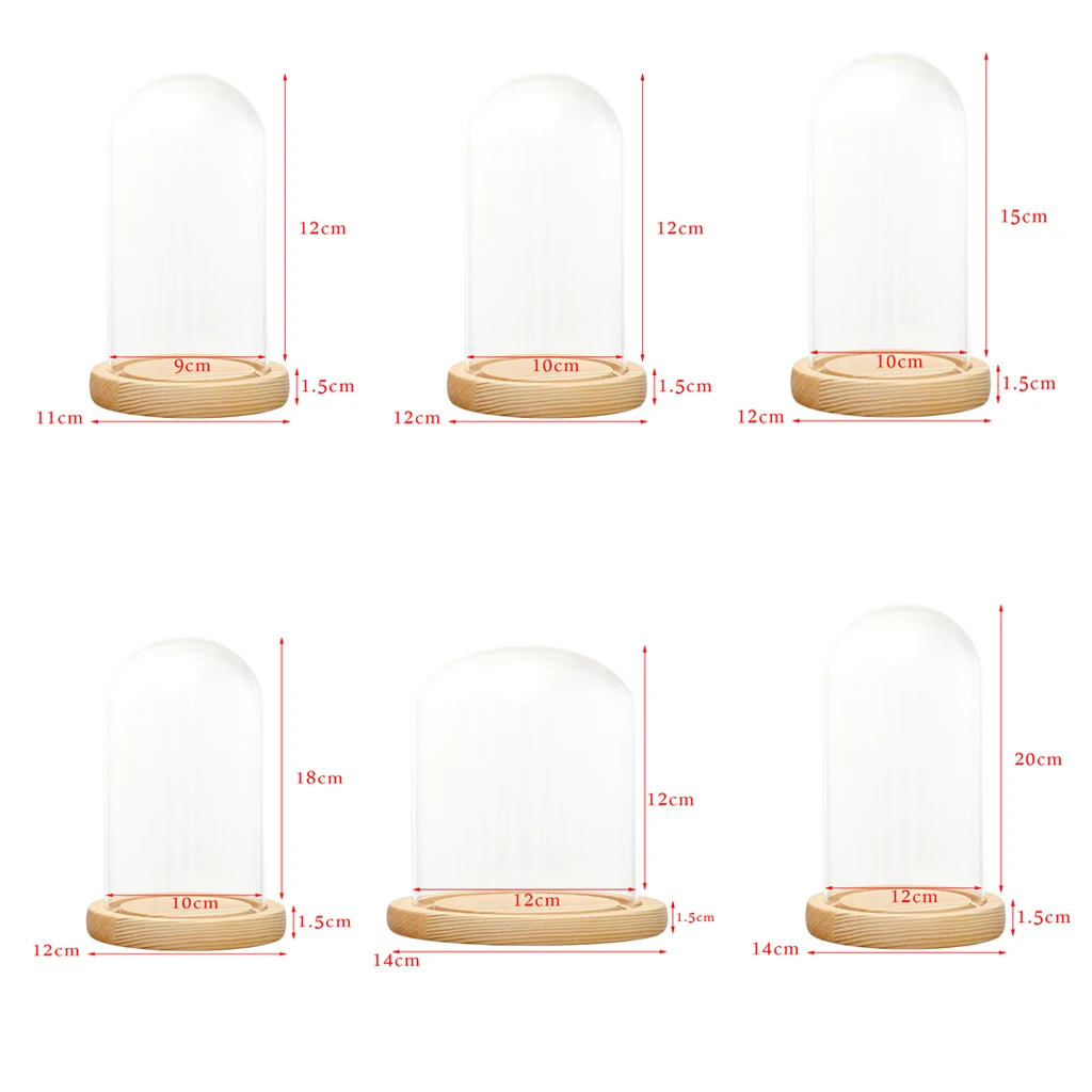 Microlandscape Clear Glass Display Dome with Wood Base LED Stand 
