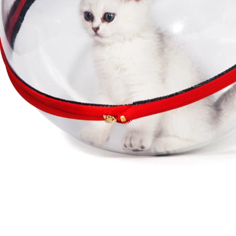 11922070040_342924097