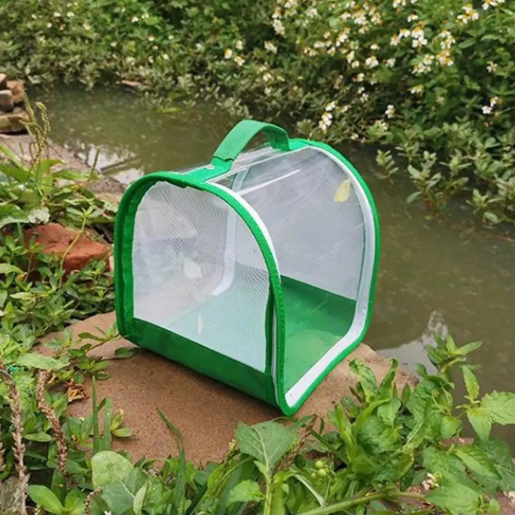 Green Collapsible Insect Cage Mesh Insect Habitat Cage Butterfly Mantis