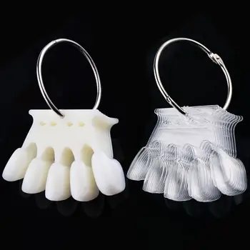 

10pcs Color Card False Nail Tips Fan Colour Pop Tip Sticks Display Transparent White Nail Polish Display Practice Design Tools