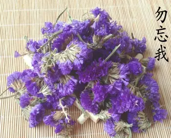 

Purple Sea-lavender Myosotis sylvatica