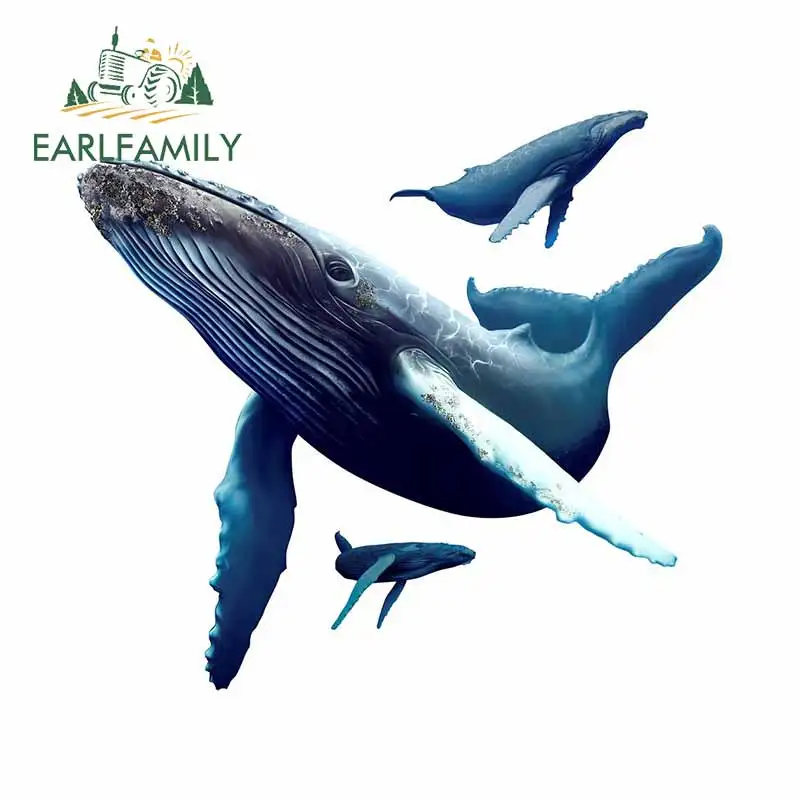 EARLFAMILY 13 см x 11 7 для киты бамперов автомобиля Наклейка окна наклейки на заказ из