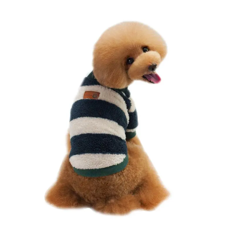 Коралловый кашемировый Однотонный свитер с высоким воротником Зимняя Одежда Пудель для йоркширских терьеров и чихуа-Хуа одежда курта для собак - Цвет: Зеленый