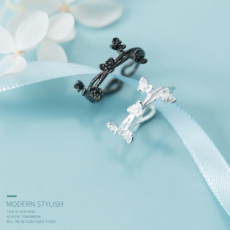 8533883930_334617663