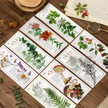 

40pcs/pack Floral Garden PET Stickers Diy Scrapbooking Diary Journal Decorative Sticker