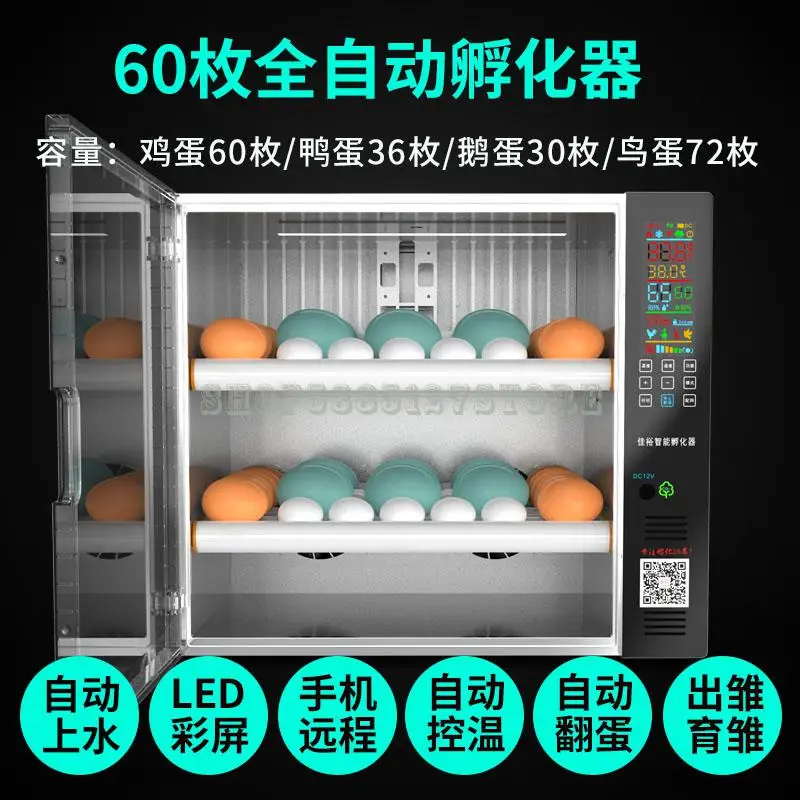 60 eggs