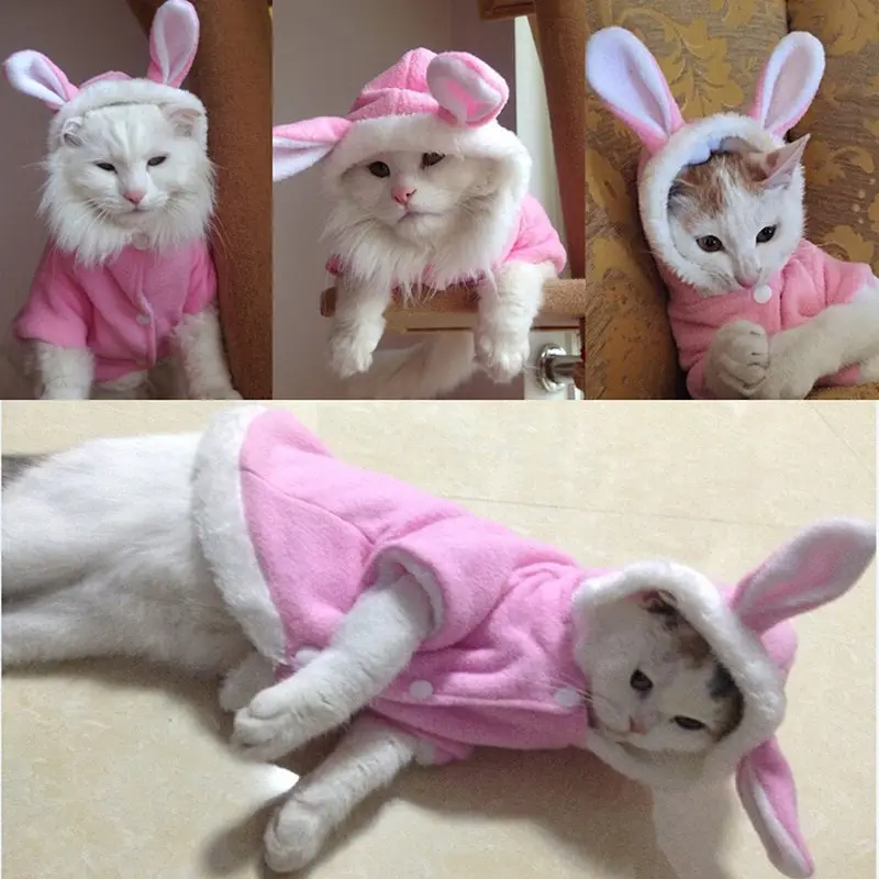 

Pet Cat Clothes Costume Clothes For Pet Hoodies Cute Rabbit Cat Clothing Puppy Fleece Warm Pet New Cat Jacket Outfit