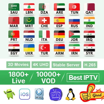 

Europe IPTV M3u Subscription Italy Belgium IPTV Germany Netherlands Arabic Israel Qatar 4K Android Smart IP TV IOS MAG Enigma2