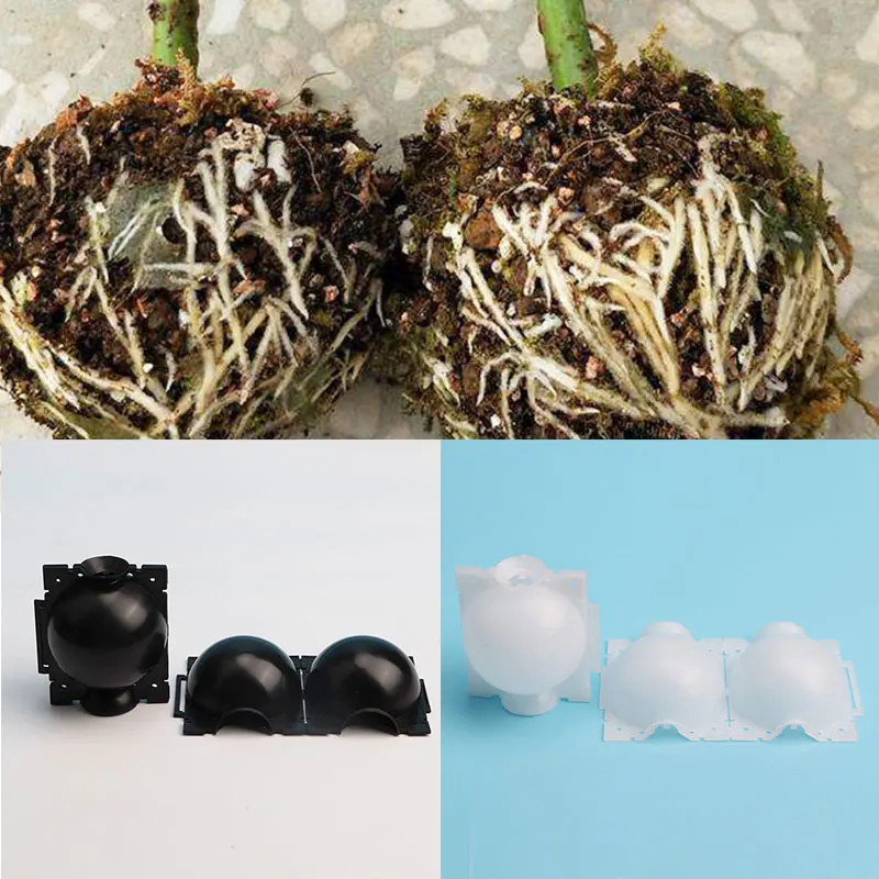 

Propagation Ball Flower Container Nursery Box Breeding Case Grafting Rooting Box Plant Box Plant Rooting Ball Garden Pouch Root