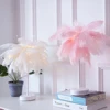 Creative Feather Table Lamp with Remote Control USB/AA Battery Power Desk Lamp Tree Feather Lampshade Night Light for Birthday ► Photo 3/6