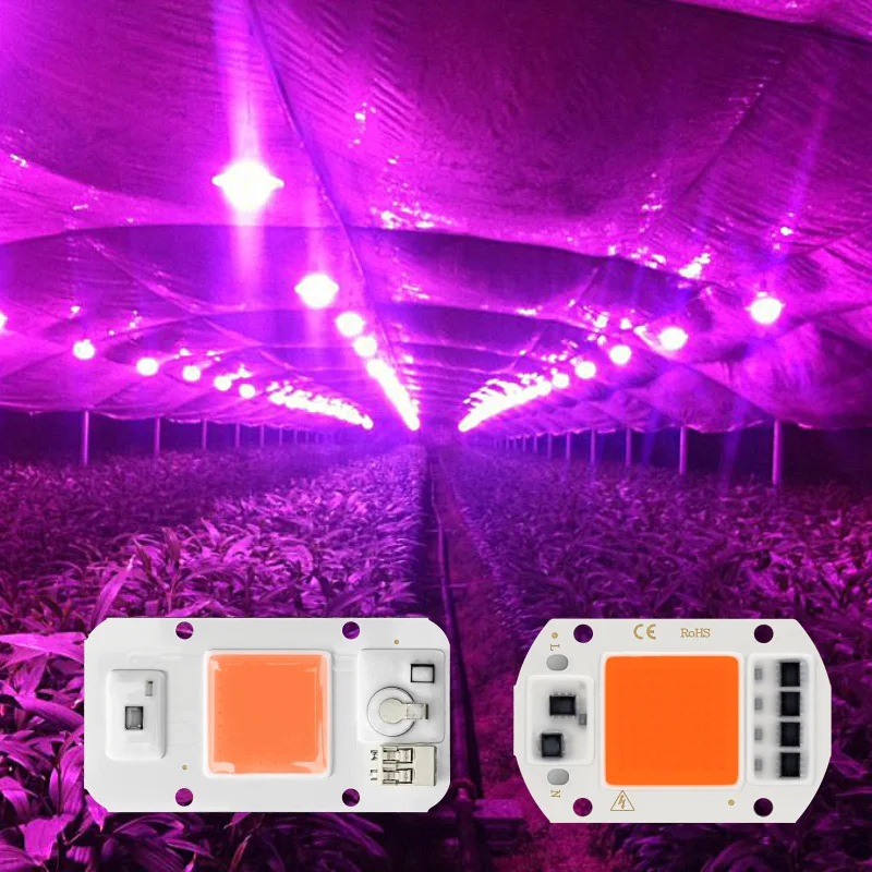 LED COB Dimmable Chip Grow Lamp Full Spectrum 20W 30W 50W Phyto Grow