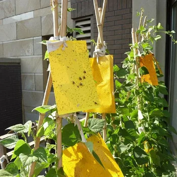 

5Pcs/set Strong Flies Traps Bugs Sticky Board Catching Aphid Insects Killer Whitefly Thrip Glue Stickers Pest Control Yellow