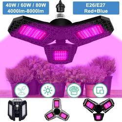 Grow Light LED Full Spectrum Adjustable Phyto Lamp 40W 60W 80W 4000LM-8000LM Waterproof Flowers Seedling Grow Lamp Indoor Light