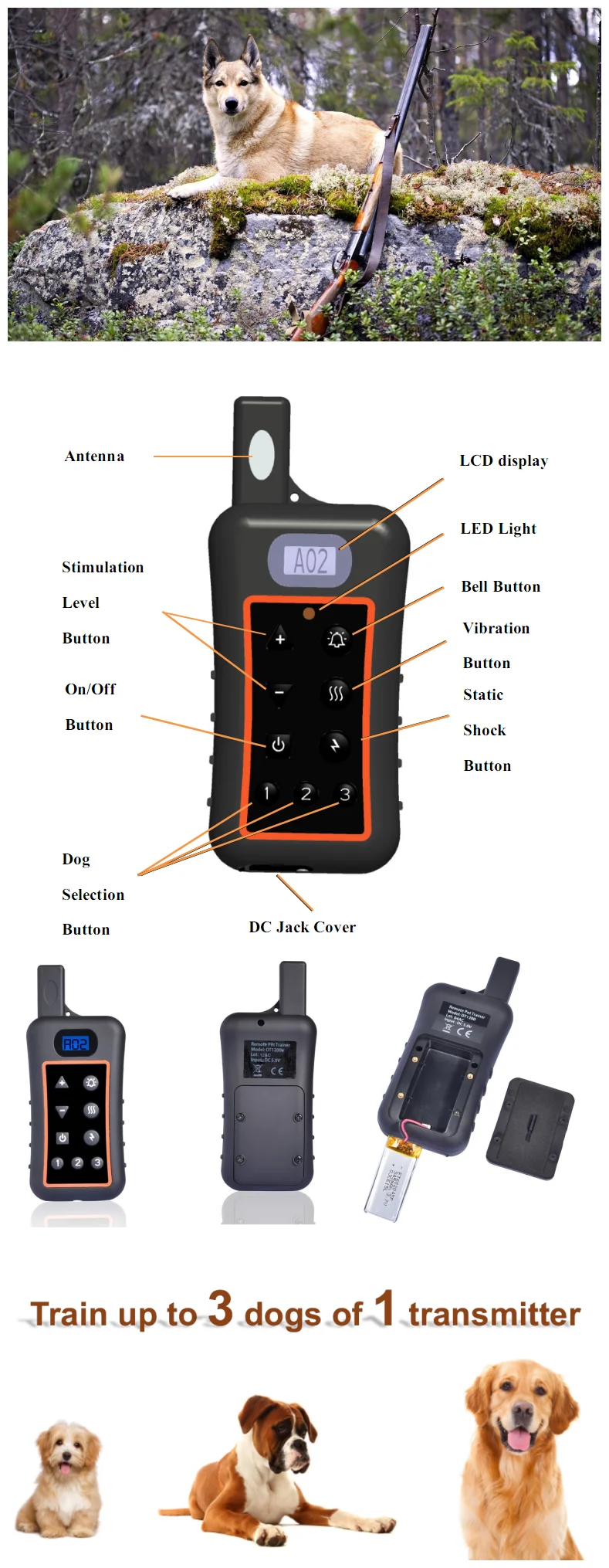 DT1200 Dog training-2