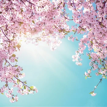 

Laeacco Pink Spring Backdrops For Photography Blossom Cherry Sunshine Baby Newborn Scenic Photographic Background Photo Studio