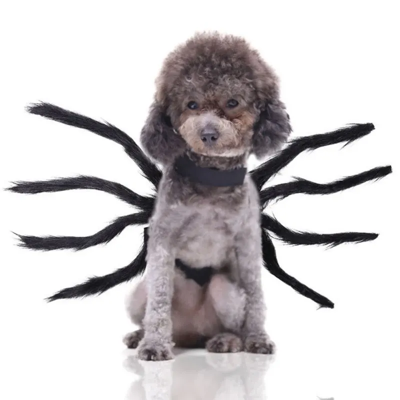 Хэллоуин Карнавал Pet Spider одежда фестиваль украшение для собак и кошек черные
