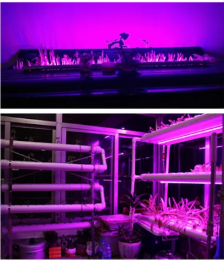 QQ图片20200519142853