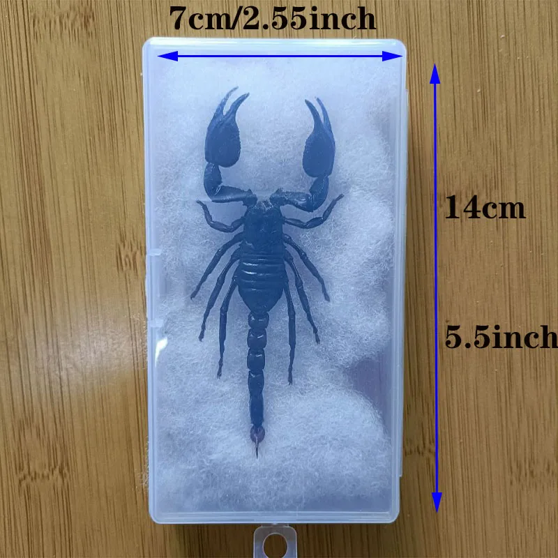 Various Scorpion Specimens Resin Sealing Ornaments Original Ecological Dry Scorpion Frame Binding Collection for Home Decoration 