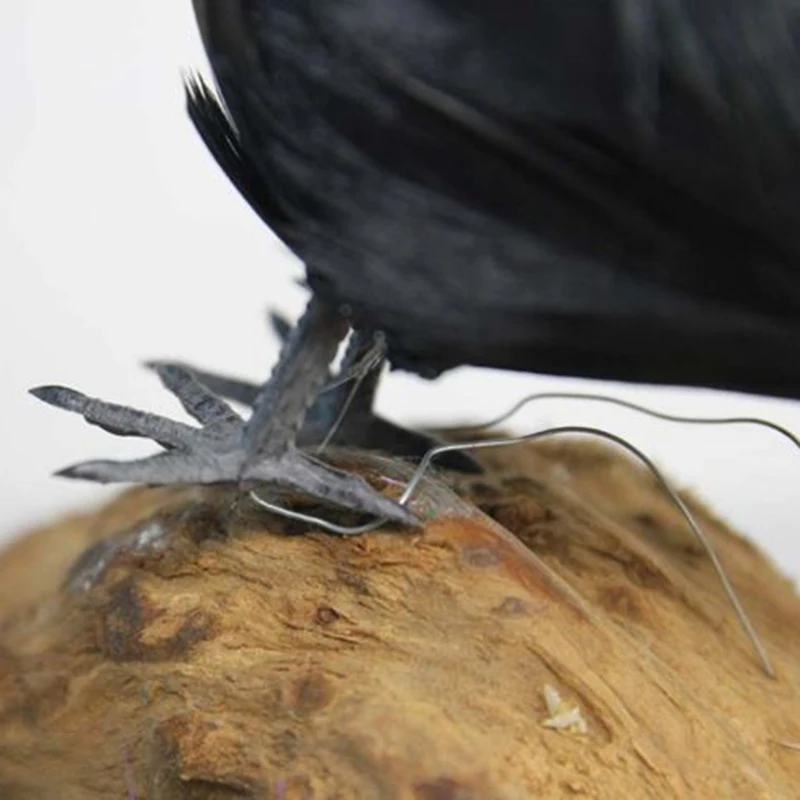 Черный пластик ворона талисманы Хэллоуин реквизит косплей искусственная Птица Шарм охотничьи приманки домашний декор сада декорация дом с привидениями