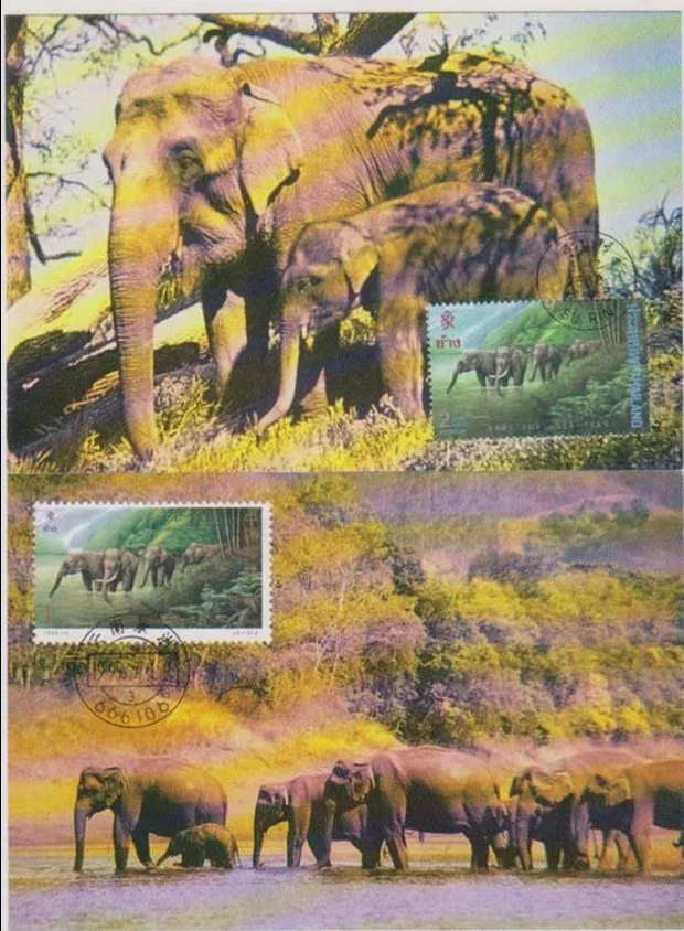 

2 pcs set China and Thailand Joint Issue-Elephant Cards China Post Stamps Postage Collection