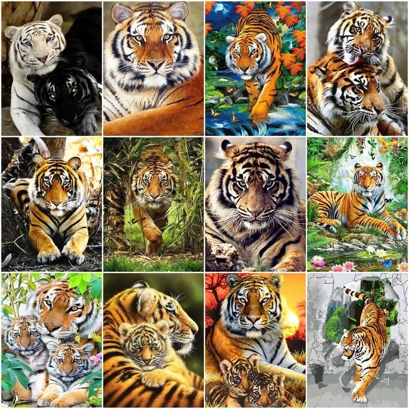 

CHENISTORY Diy Painting By Numbers Forest Tiger Drawing On Canvas Handpainted Art Gift Pictures By Number Animal Kits Home Decor