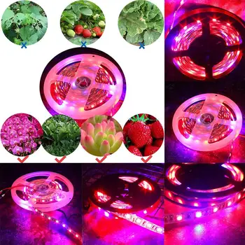 

Greenhouse Plant Vegetables LED Light Strip Light Strip Eco-Friendly High Brightness Hydroponic Flower Indoor Energy Saving 12V