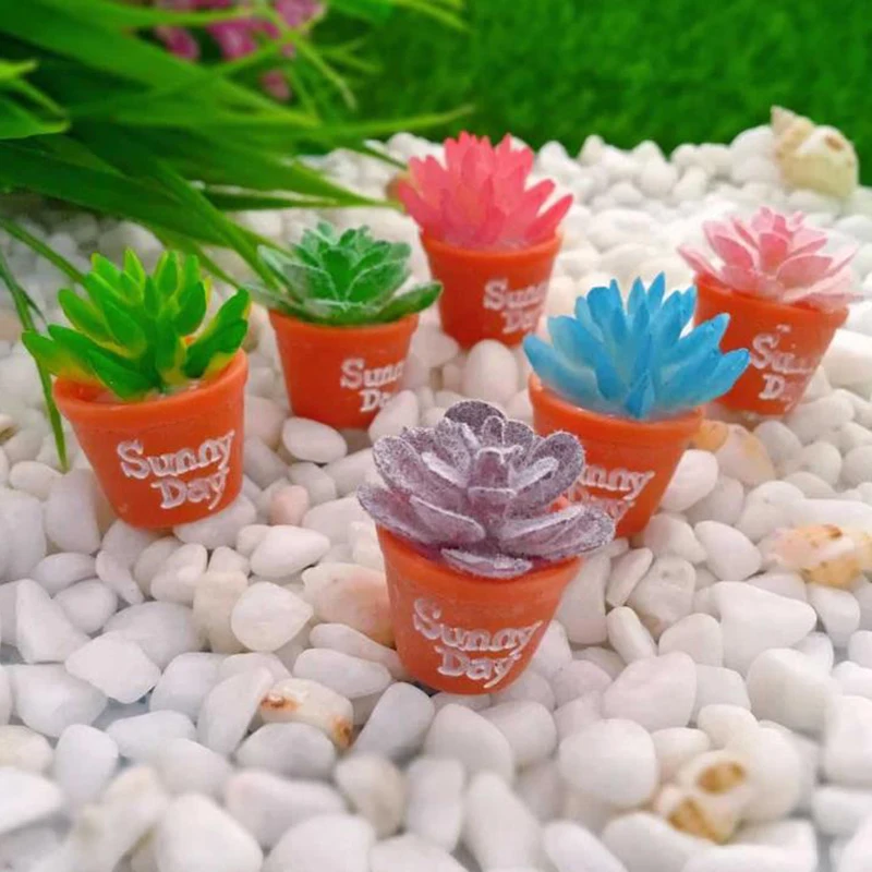 6Pcs Doll House Miniature Potted Fleshy Plant Garden Micro Landscape Decoration